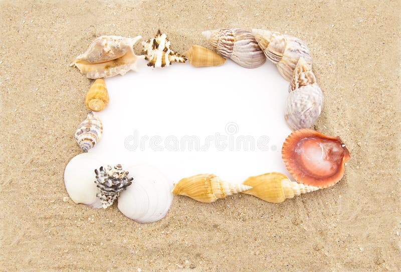 White paper for note in a frame from sea shells