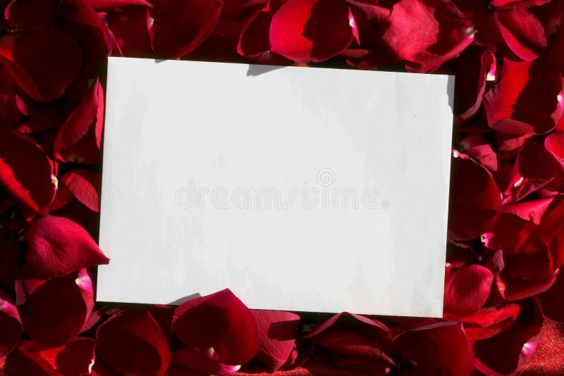 White paper over red petals