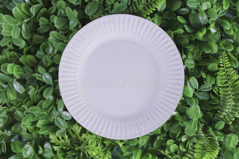 White Paper Plates stock image. Image of food, design 234296551