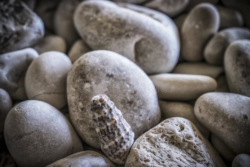Perfect white pebbles stock image. Image of cobbles 257246809