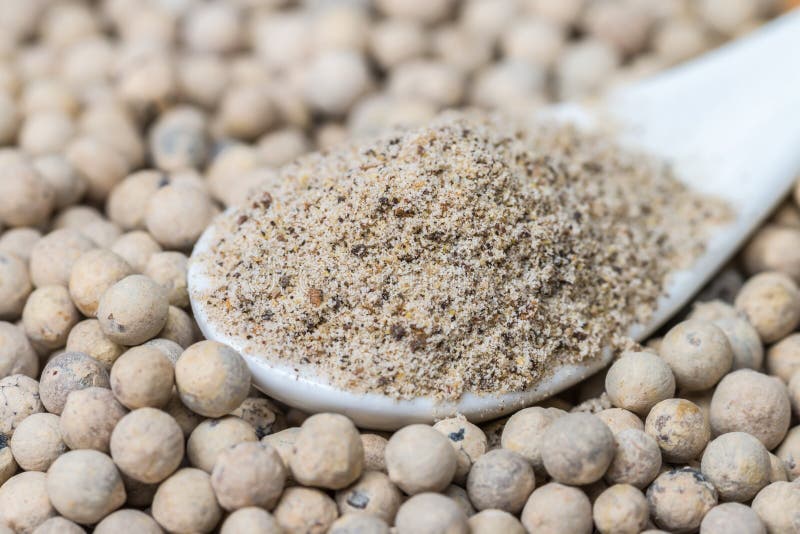 White Pepper Powder and Grain. Stock Image Image of ground, pepper