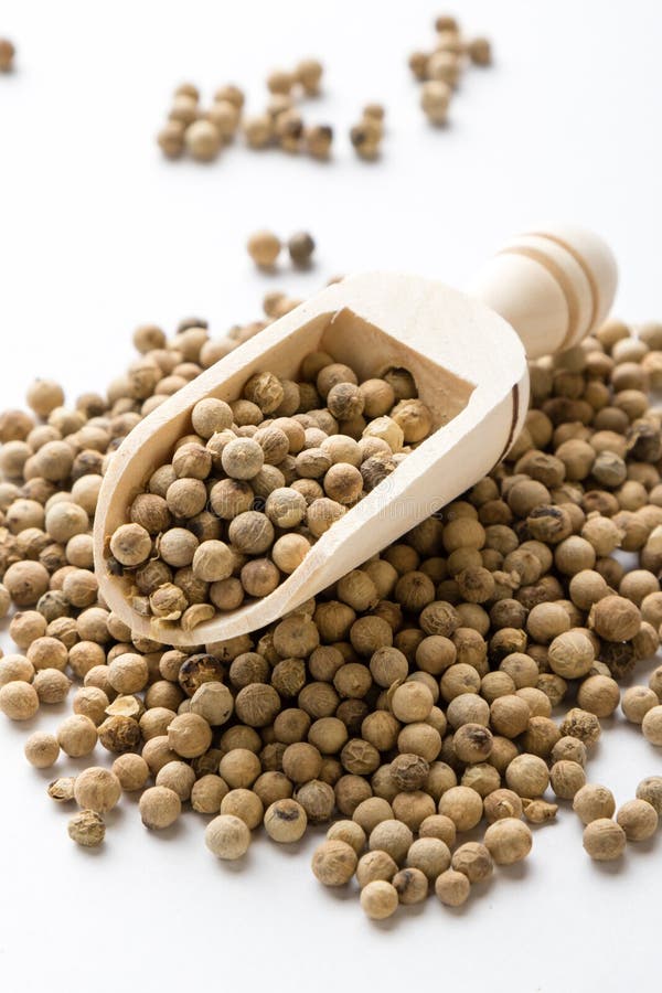 White peppercorn seeds stock image. Image of culinary 70335003