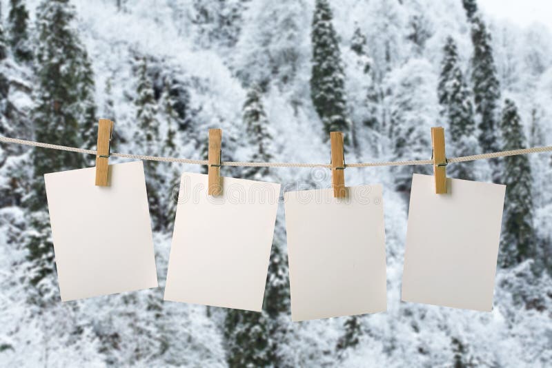 White photopaper on frozen trees