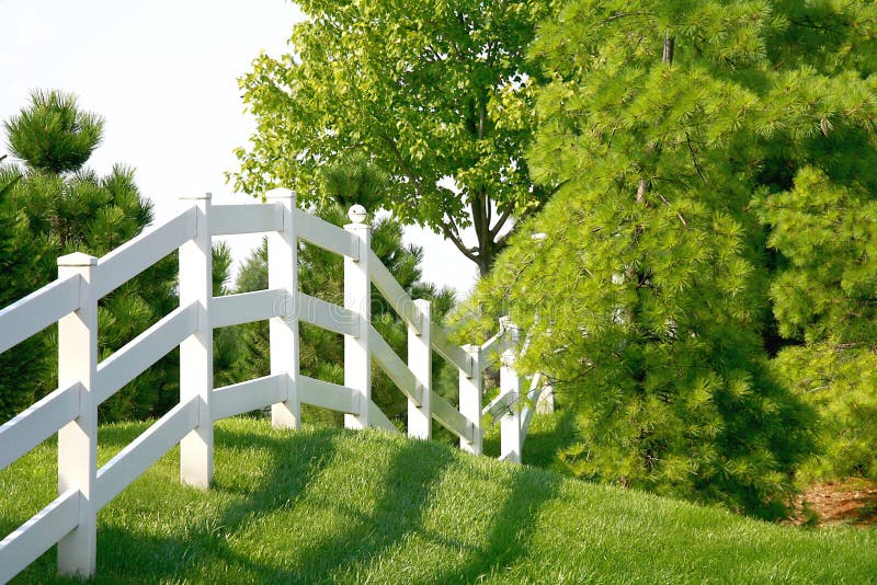 types of fences for backyard