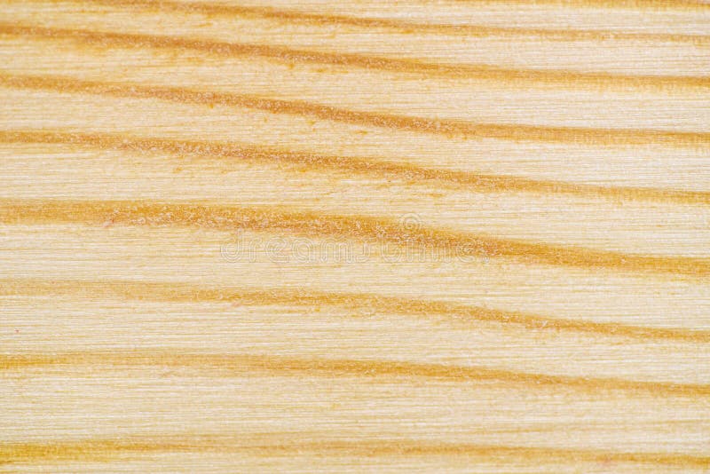 White Pine-Beschaffenheits-Muster stockfotografie White Pine-Beschaffenheits-Muster stockfotografie