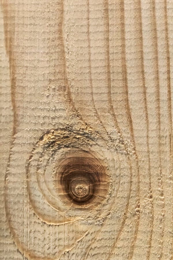 White Pine Plank Rough Surface With Large Wood Knot Stock Photo Image