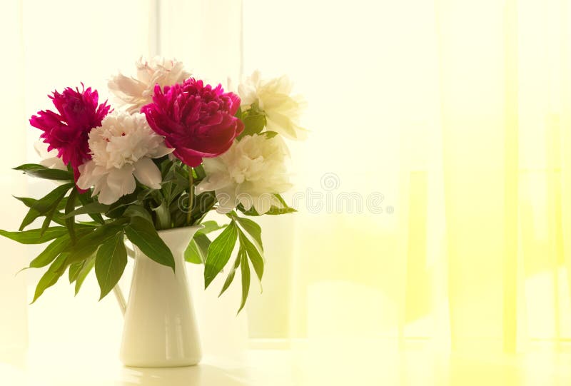 White and pink peonies in vase on white table