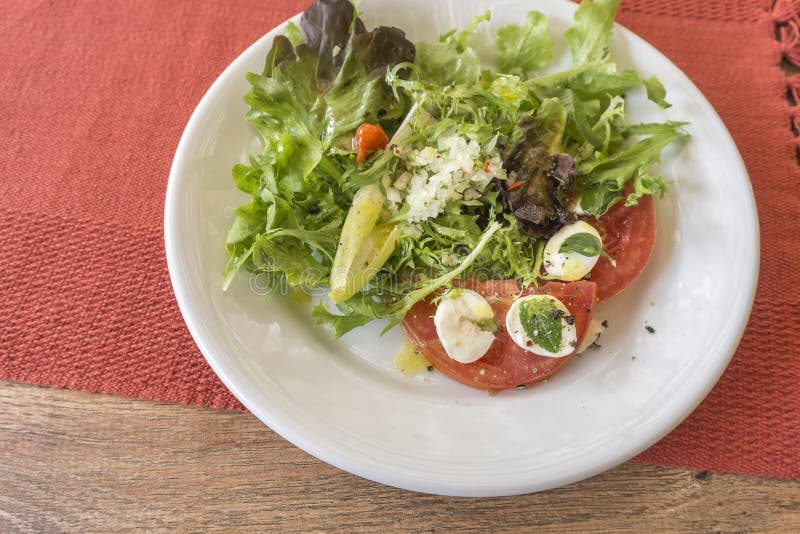 White Plate with Salad, Lettuce, Tomatoes, Mozzarella and Basil Stock