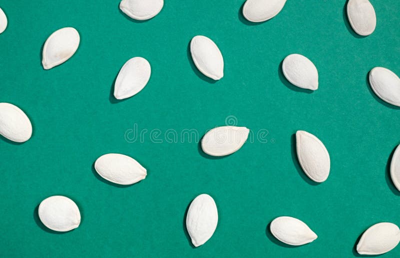White Pumpkin Seeds Flat Lay Stock Image Image of food, nuts 83888685
