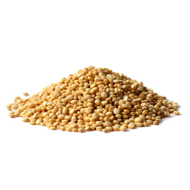 White quinoa seeds stock image. Image of healthy, crop 68470519