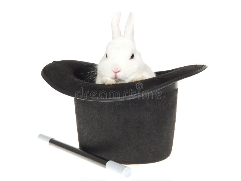 White rabbit with black top hat royalty free stock image