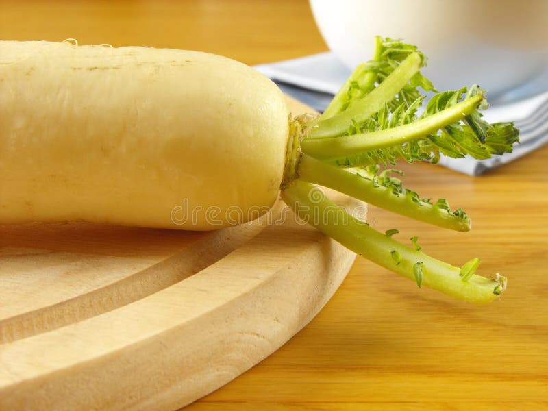 White Radish stock photo. Image of closeup, root, kitchen 22067312