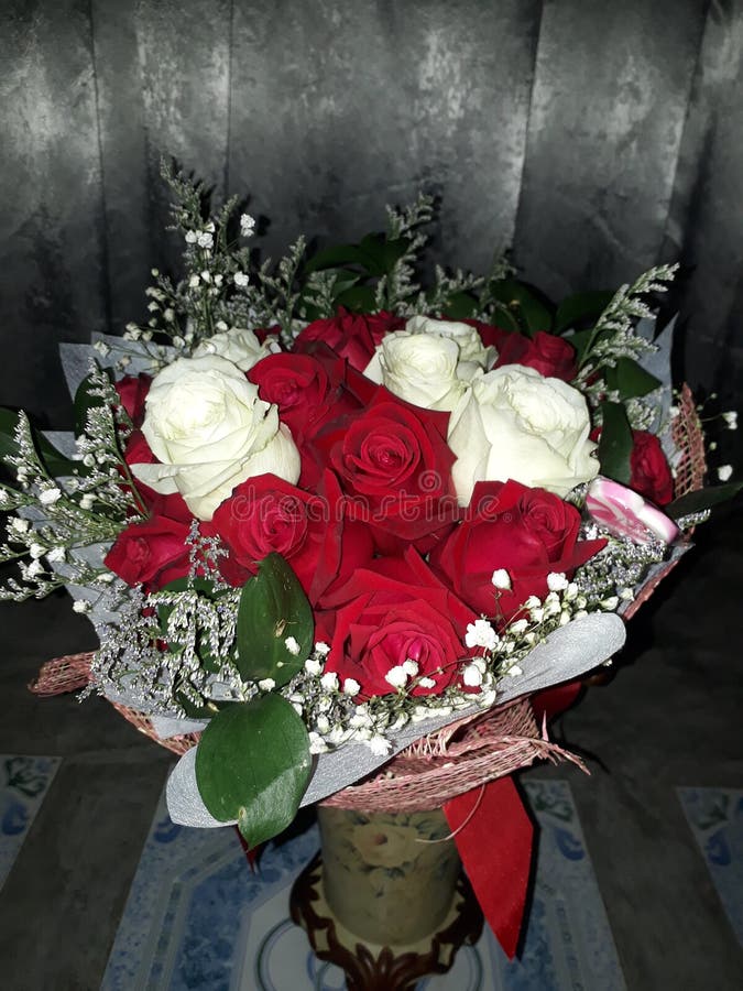 The flower of lover stock photo. Image of royal, rose 139444382