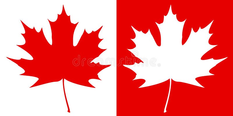 Double maple leaf silhouette on a contrast background. EPS10 illustration. Maple leaf canada cartoon vectors