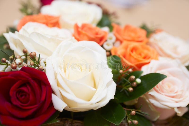 White, Red and Yellow Roses Stock Photo Image of decoration