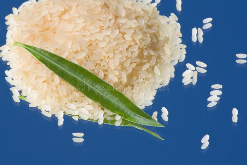 White Rice stock image. Image of asian, rice, food, harvesting 17313817