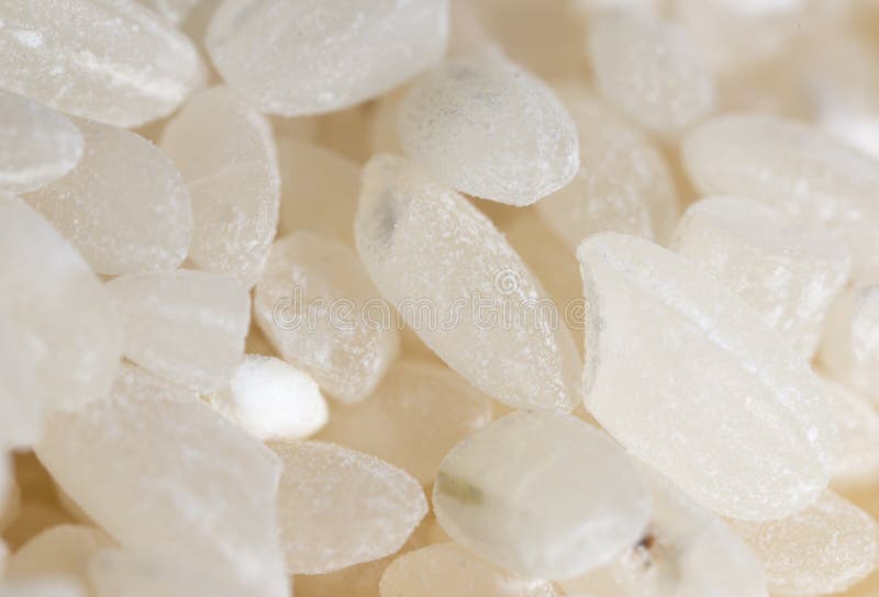 White Rice As a Background. Macro Stock Photo Image of sushi