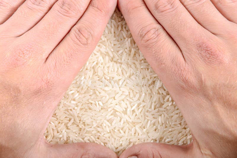 White rice background stock photo. Image of chinese, grain 50864826