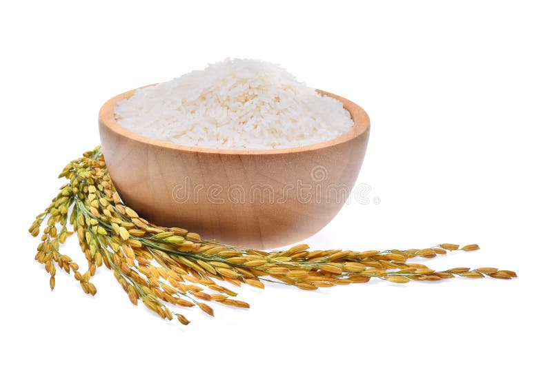 White Rice Thai Jasmine Rice and Unmilled Rice Isolated on Whi Stock