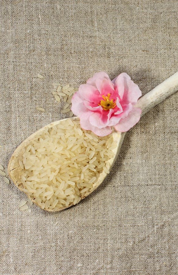 White rice stock image. Image of protein, little, steamed 53138401