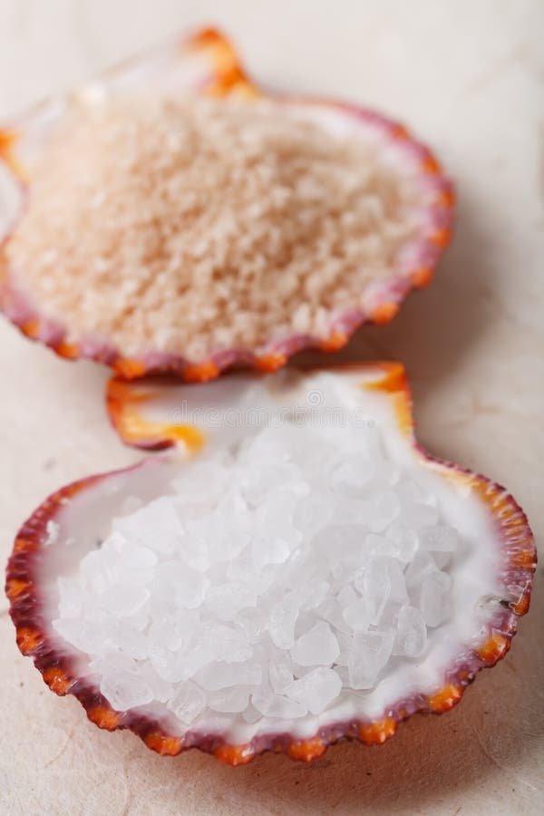 White Rock Sea Salt In Sea Shell On Paper Stock Image Image of