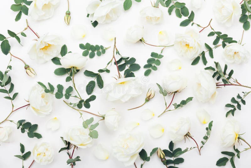 White rose flowers and green leaves on white table from above. Beautiful floral pattern in flat lay styling royalty free stock images White rose flowers and green leaves on white table from above. Beautiful floral pattern in flat lay styling royalty free stock images