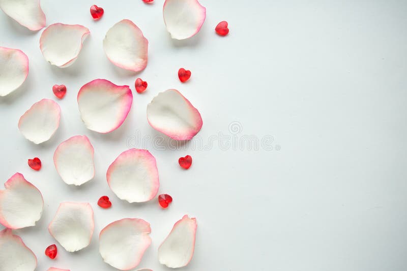 White Rose Petals on White Background. Stock Photo Image of mosaic