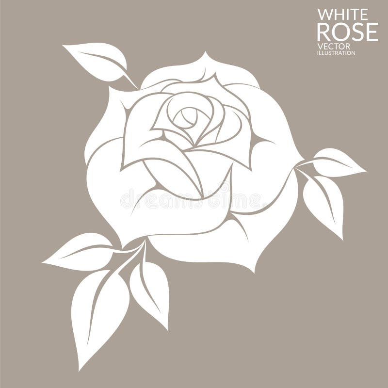 White rose stock vector. Illustration of rose, ornate - 54344045
