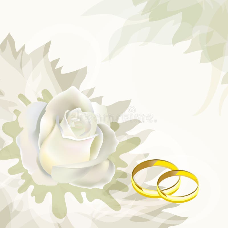 White rose and wedding rings