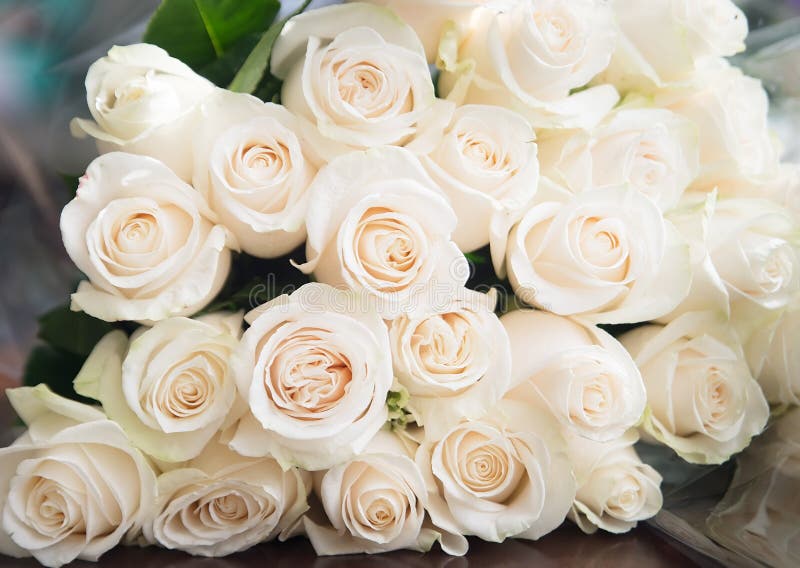 White roses background. Nature, flowers, bouquet
