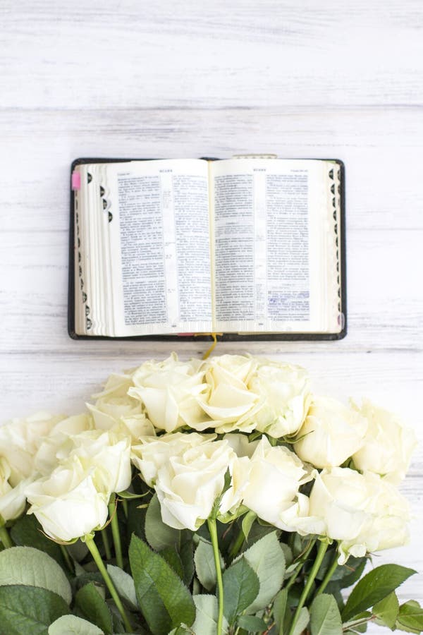 602 Bible Roses Stock Photos Free & RoyaltyFree Stock Photos from