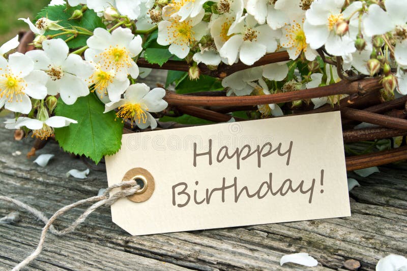 Happy birthday stock image. Image of greeting, design - 31353109