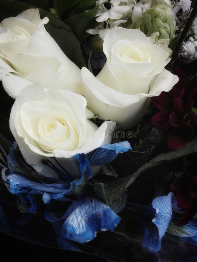 White Roses and Blue Flowers Bouquet Stock Image Image of flowers