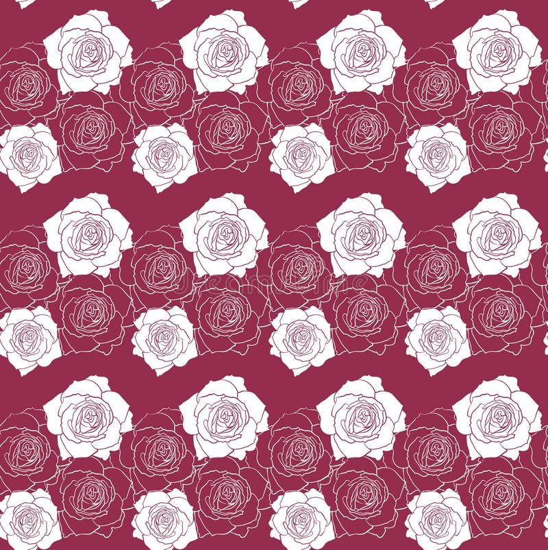 White Roses on Red Pattern Vector Stock Vector Illustration of floral