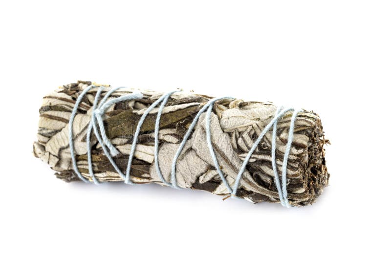 White sage incense stock image. Image of healing, alternative 254294869