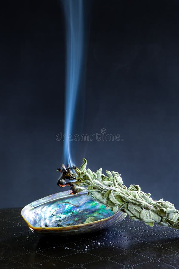 White sage smudge stick on dark background. Burning / smudging sage on abalone shell. Native American tradition for cleansing nega royalty free stock photo White sage smudge stick on dark background. Burning / smudging sage on abalone shell. Native American tradition for cleansing nega royalty free stock photo