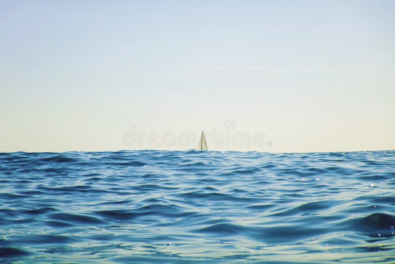 White Sailing Boat Sailing on the Horizon, Open Blue Sea Stock Photo