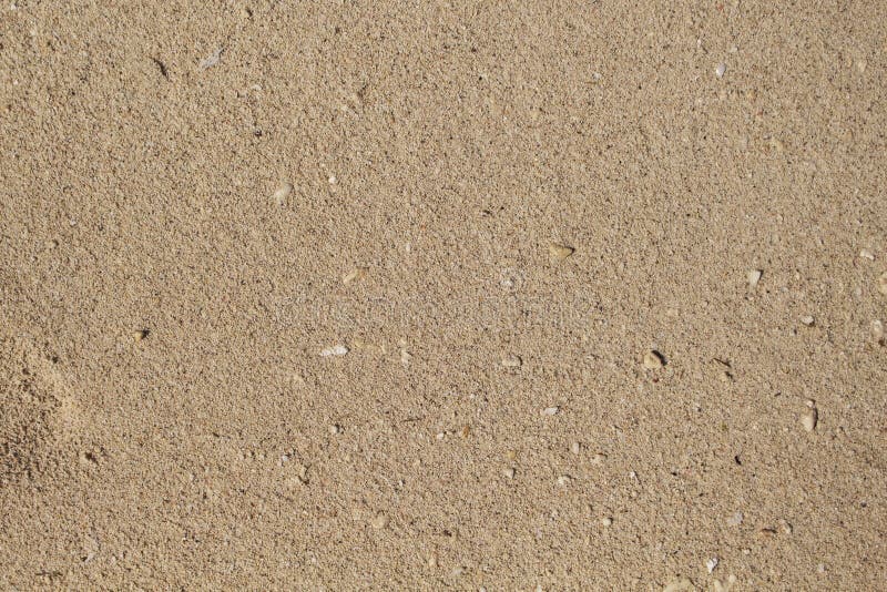 White Sand Beach Closeup Texture Tropical Beach Photo Background