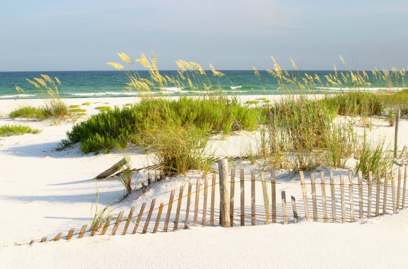 White Sand Beach, Gulf of Mexico