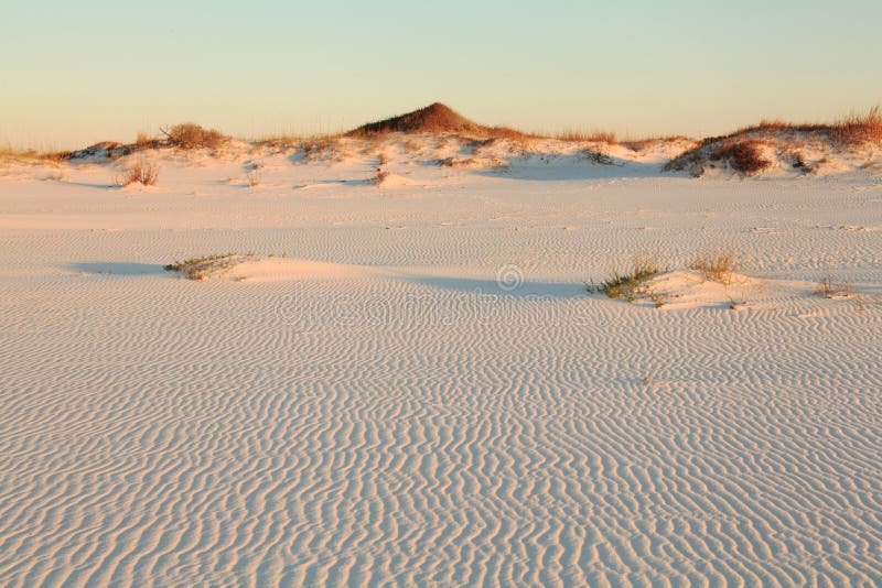 White Sand Beach, Gulf of Mexico Stock Photo Image of erosion
