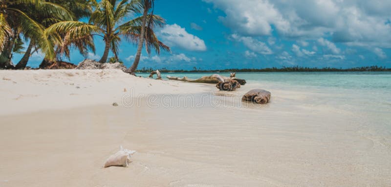 White sand beach on lonely tropical island