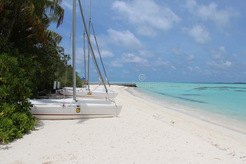 White sand catamaran stock images White sand catamaran stock images