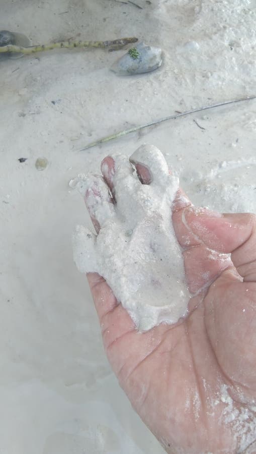 White sands beach stock photo. Image of textile, petal 259255418