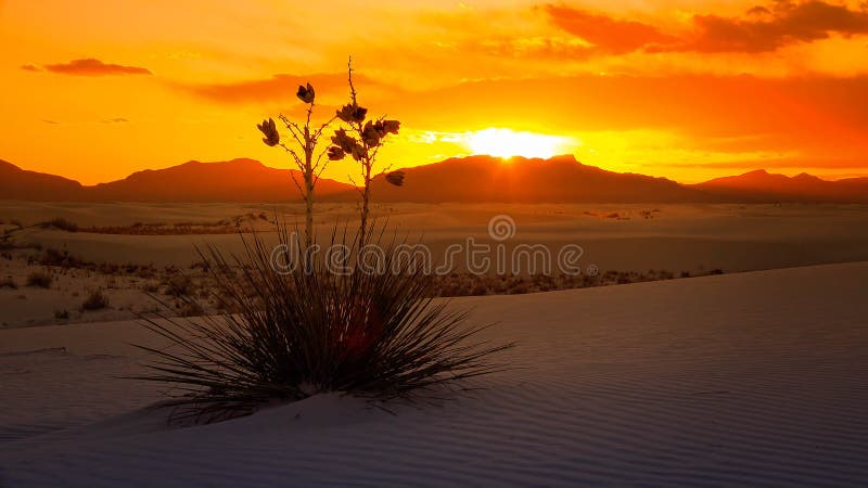 White Sands National Monument Sunset, New Mexico - Timelapse