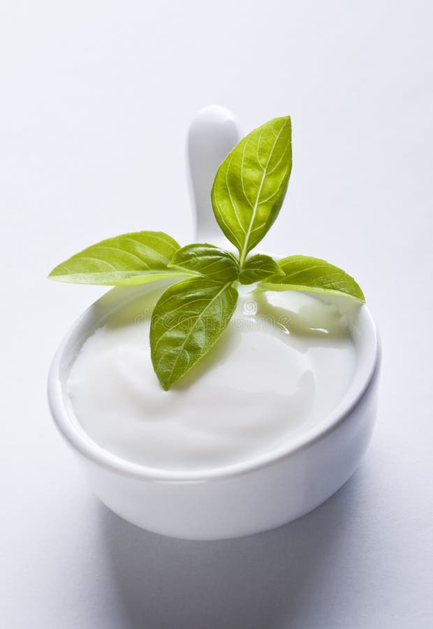 White sauce stock image. Image of leaves, sauce, yogurt 24642305