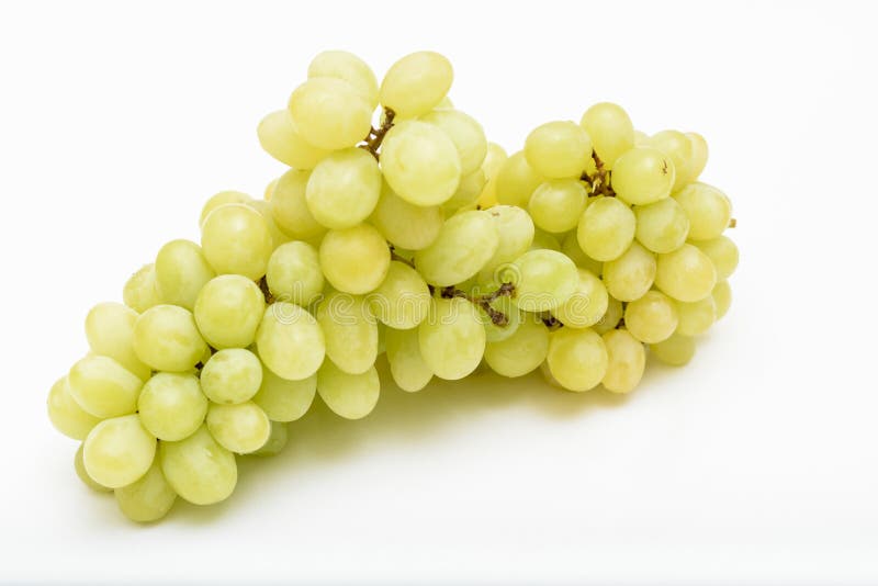 White Seedless Grapes on White Stock Image Image of white, vitis