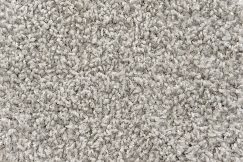 https://thumbs.dreamstime.com/b/white-shaggy-carpet-texture-rug-short-wool-background-174551060.jpg