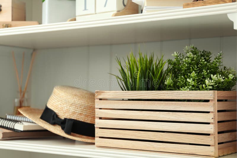 White Shelving Unit with Plants and Hat Stock Photo Image of