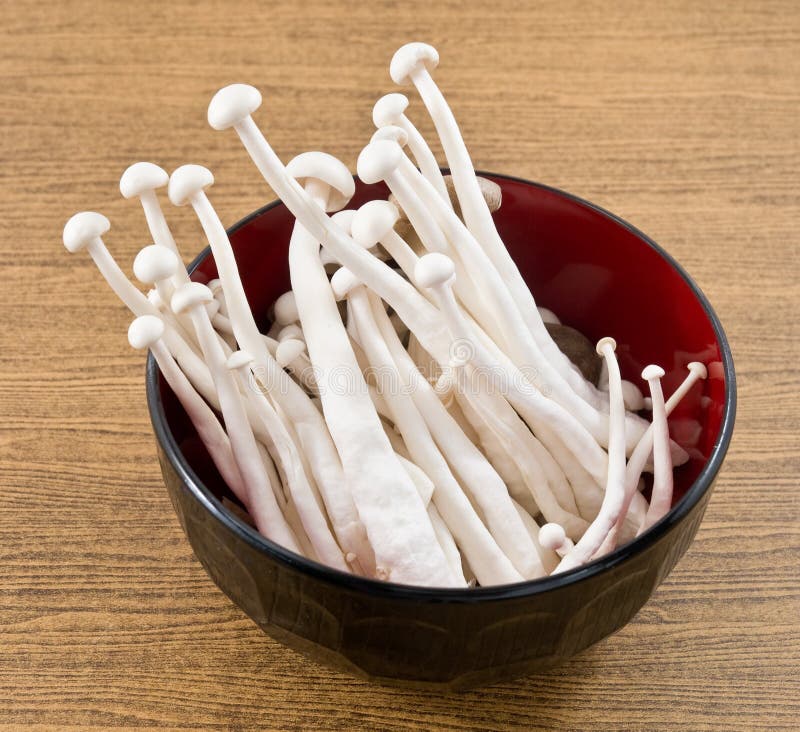 White Shimeji Mushroom in a Black Bowl Stock Image Image of meal