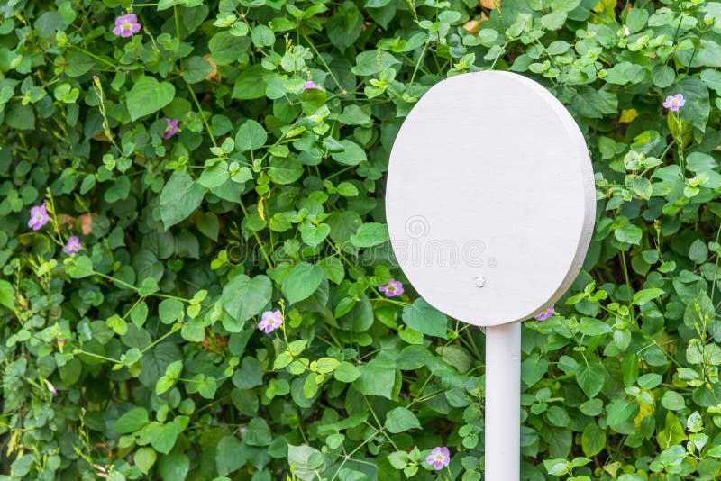White sign is blank for copy information text with fresh natural green tree gardening background in the park contemporary. Concept stock photography White sign is blank for copy information text with fresh natural green tree gardening background in the park contemporary. Concept stock photography
